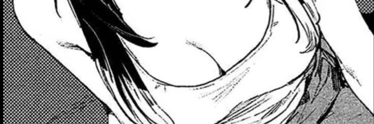 Serin banner