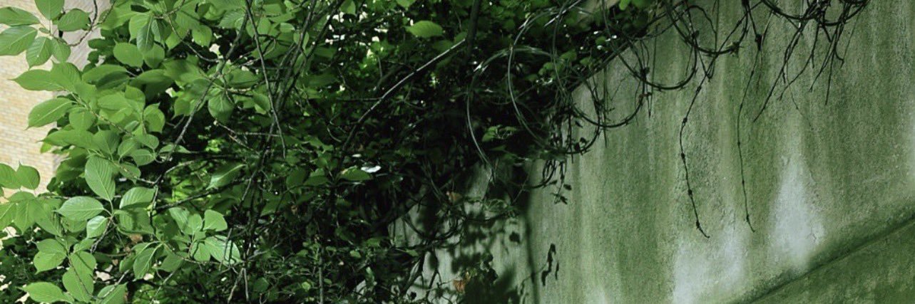 lana *:✧* edtwt banner