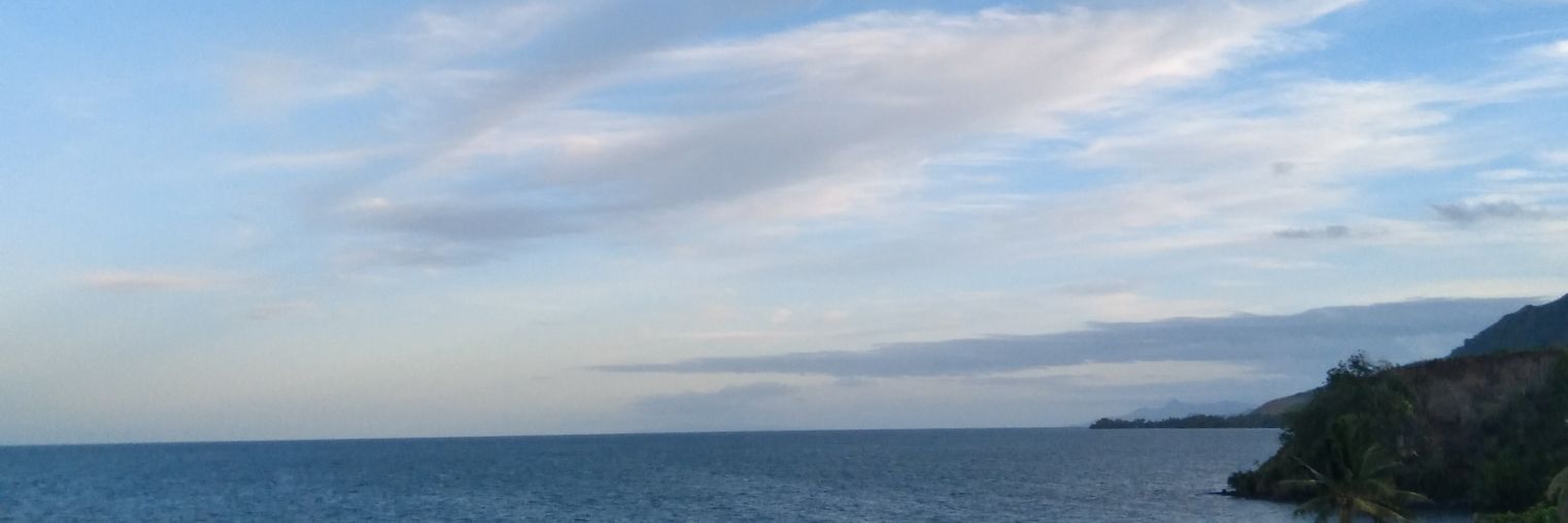 uvunivalu's profile banner image