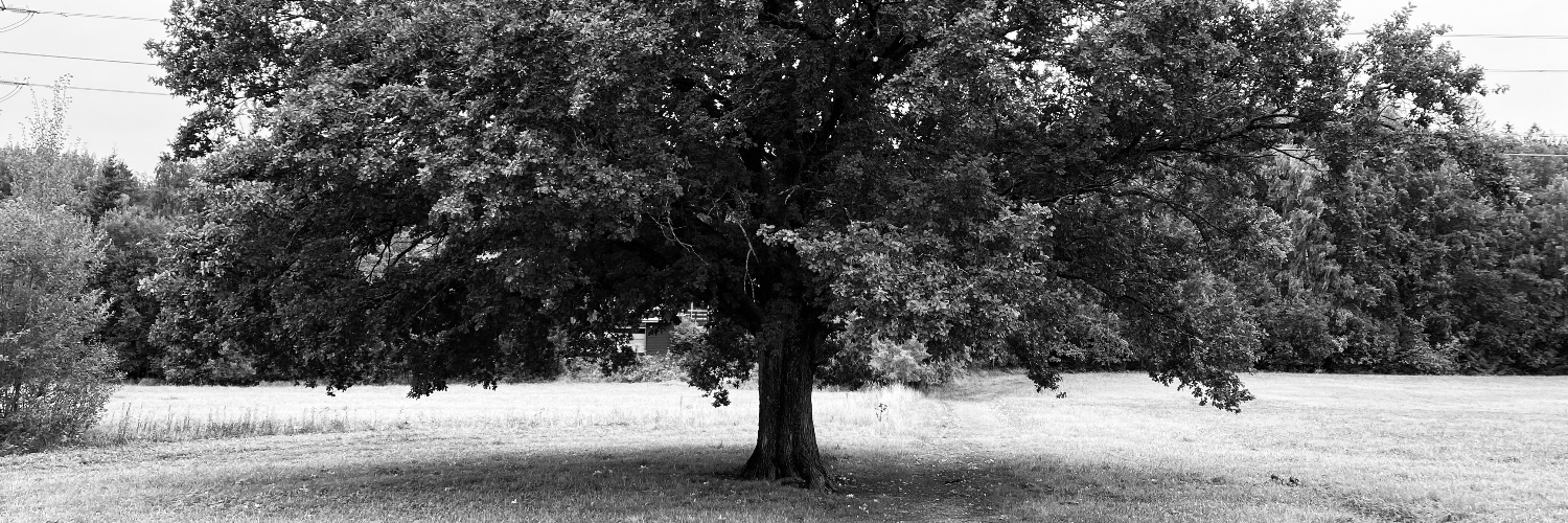 Harri Pulkkinen banner