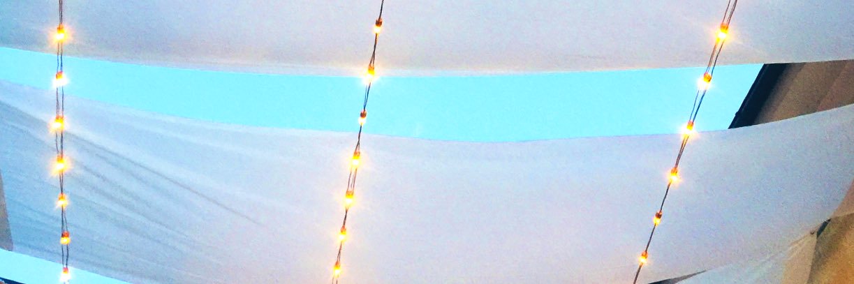 eleonorauselli's profile banner image