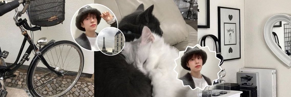 jisuvieminn's profile banner image