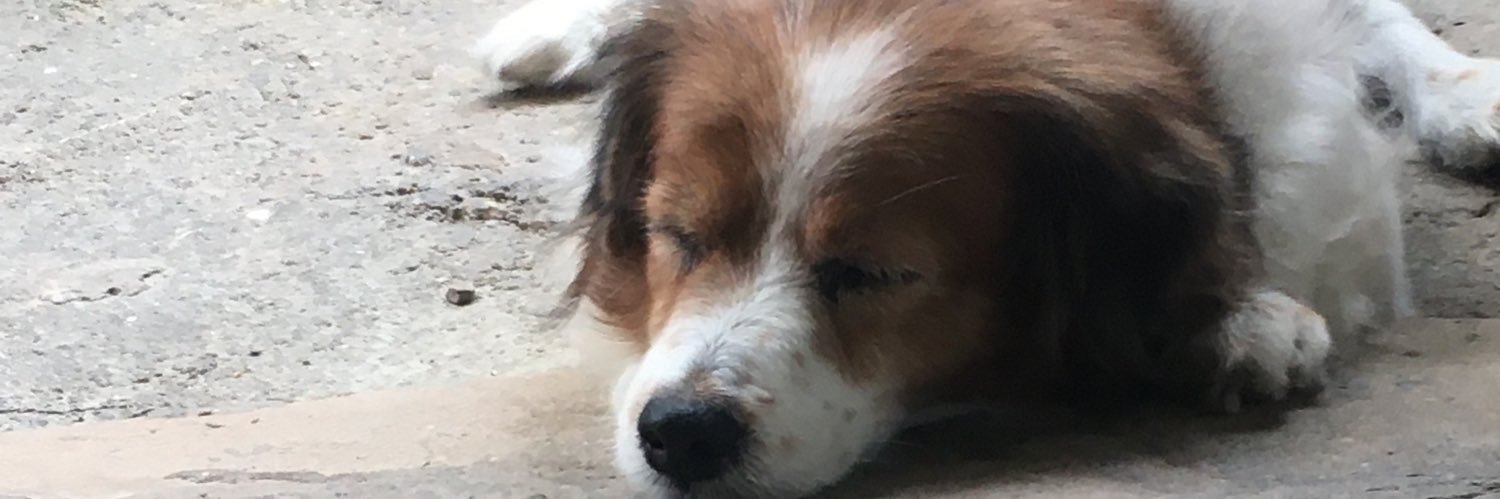MeeshMiche's profile banner image