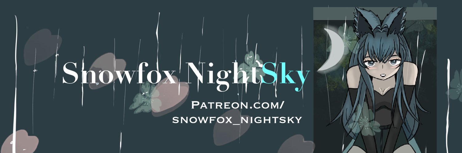 SnowFox NightSky (夜空) banner