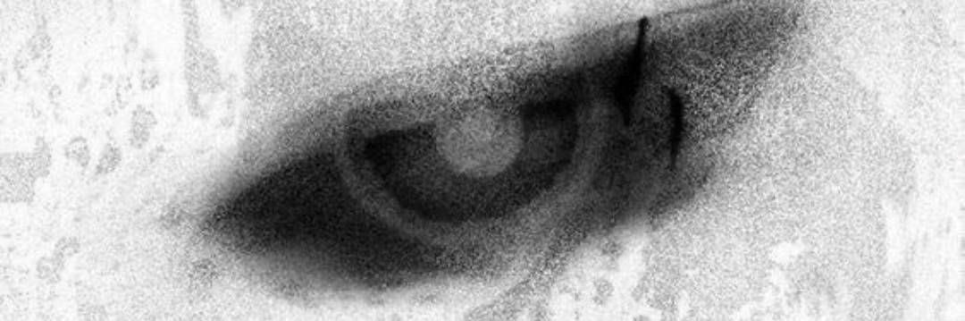 xGeekon_'s profile banner image