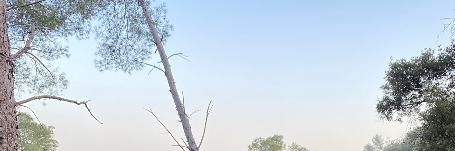 nvallss's profile banner image