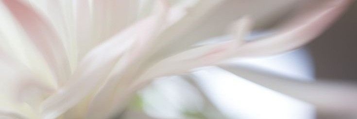 ovoltine's profile banner image