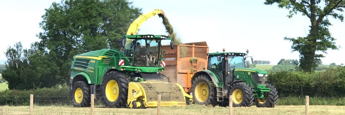 DavidJones999's profile banner image