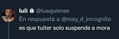 not mora ELON MUSK JUDÍO HIJO DE PUTA banner