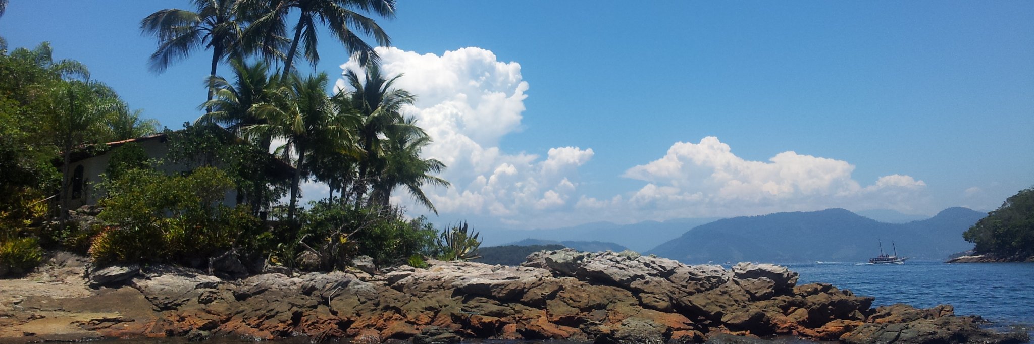 alinebarreto's profile banner image