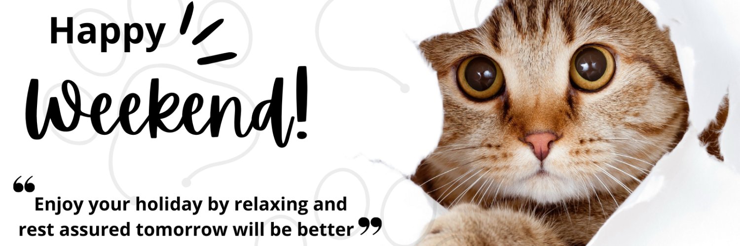 Amber Graphic designer banner