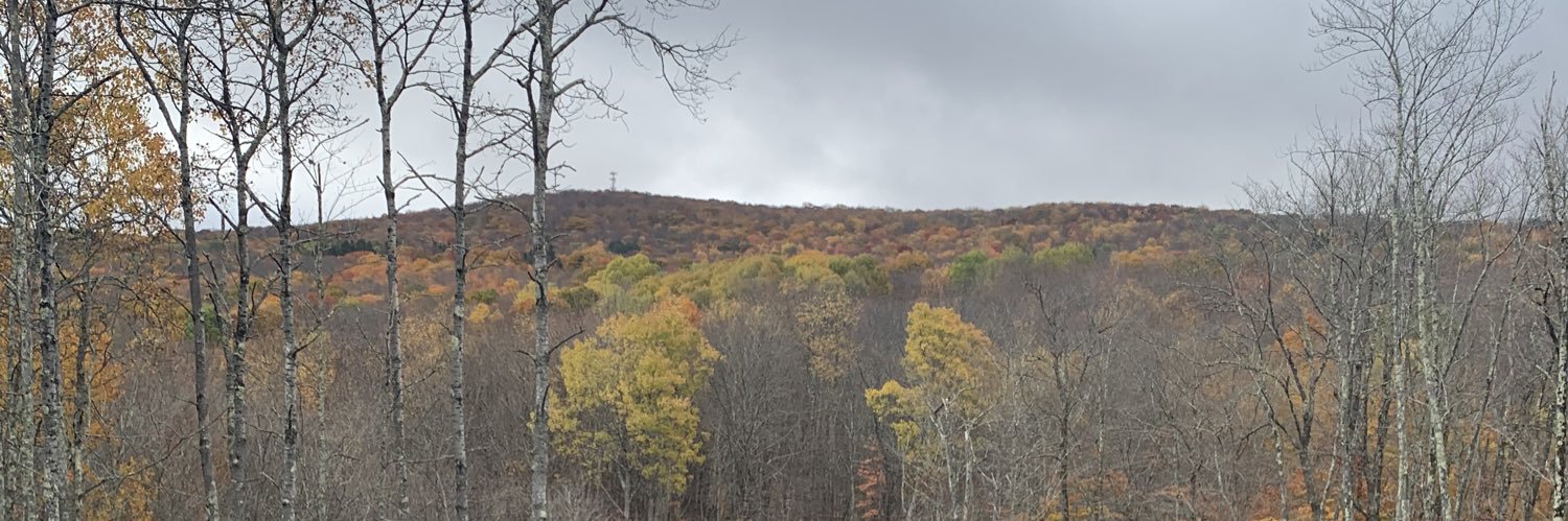 MsFennelly's profile banner image