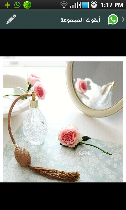 nadaalawraq's profile banner image