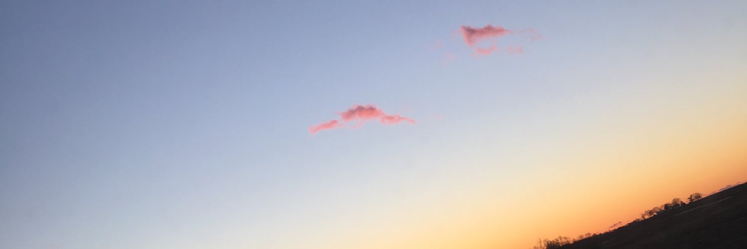 merginn's profile banner image