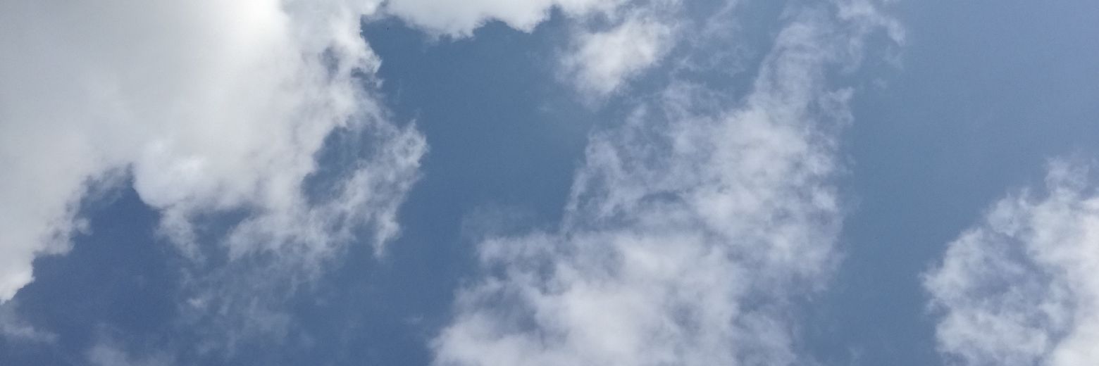 dannutii's profile banner image