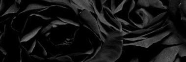AJNiore's profile banner image