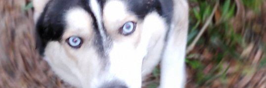 IPR365's profile banner image