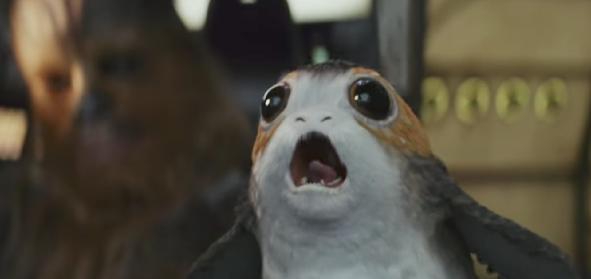 JoeyLanders1's profile banner image