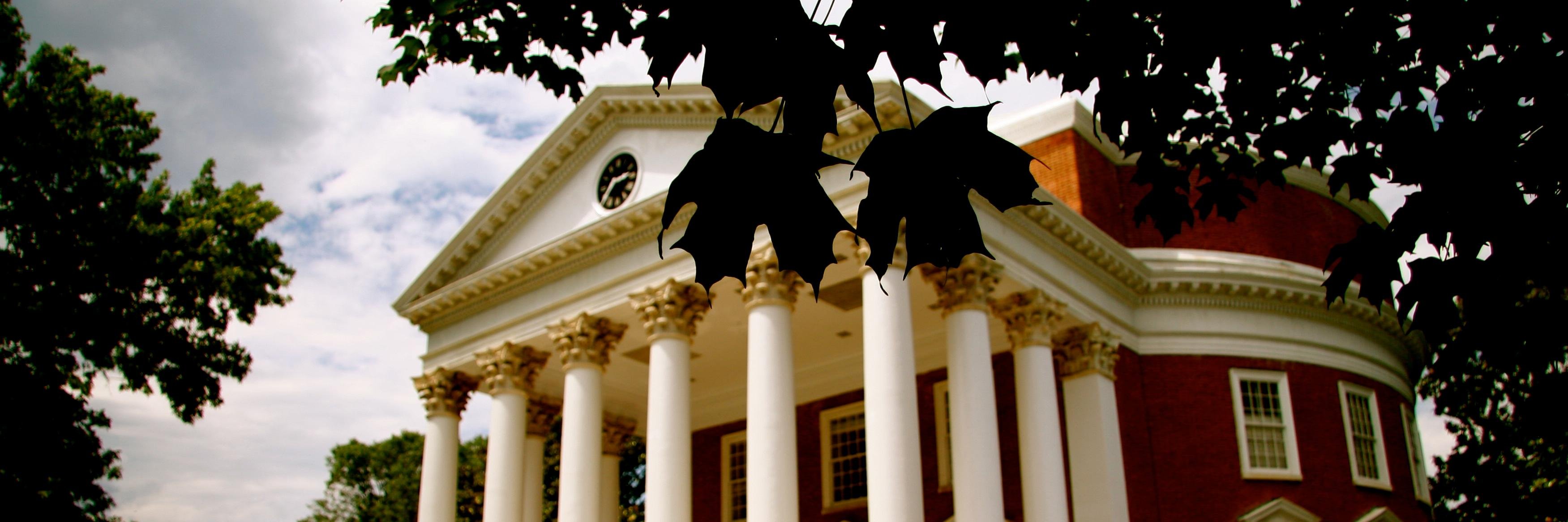 SFA College Advising banner