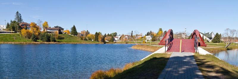 Town of Cochrane banner