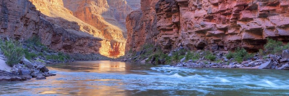 bnelson44's profile banner image