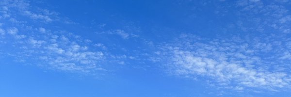 Lylm_1004 Profile Banner