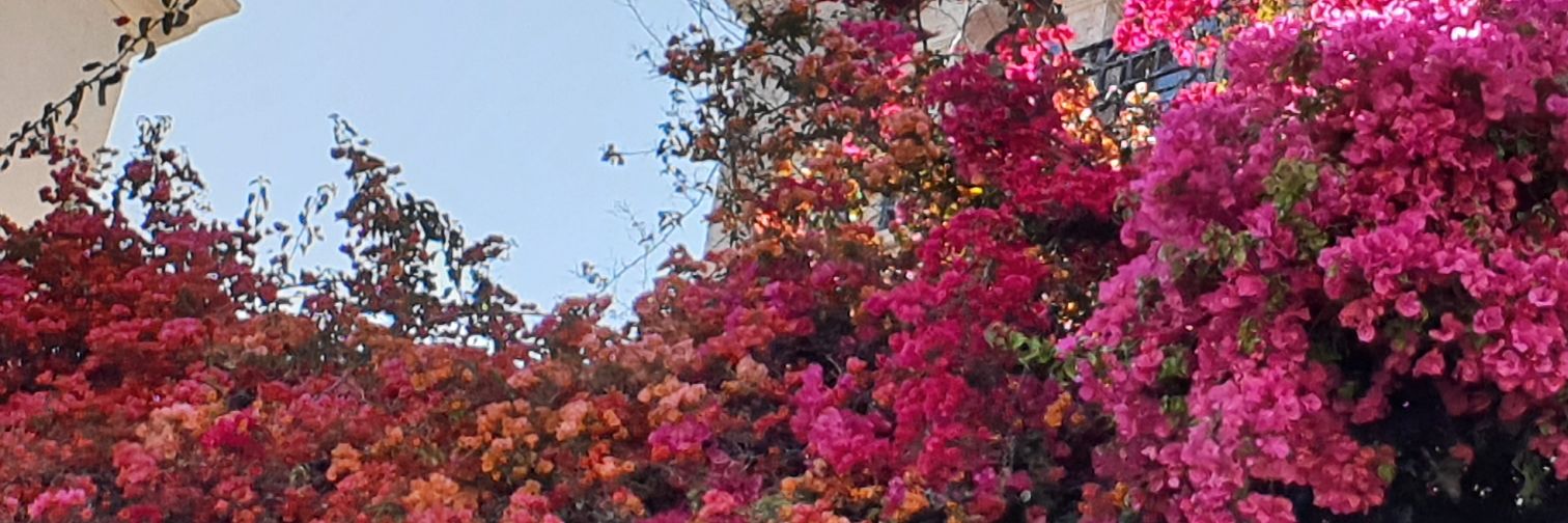 CarlyRowley87's profile banner image