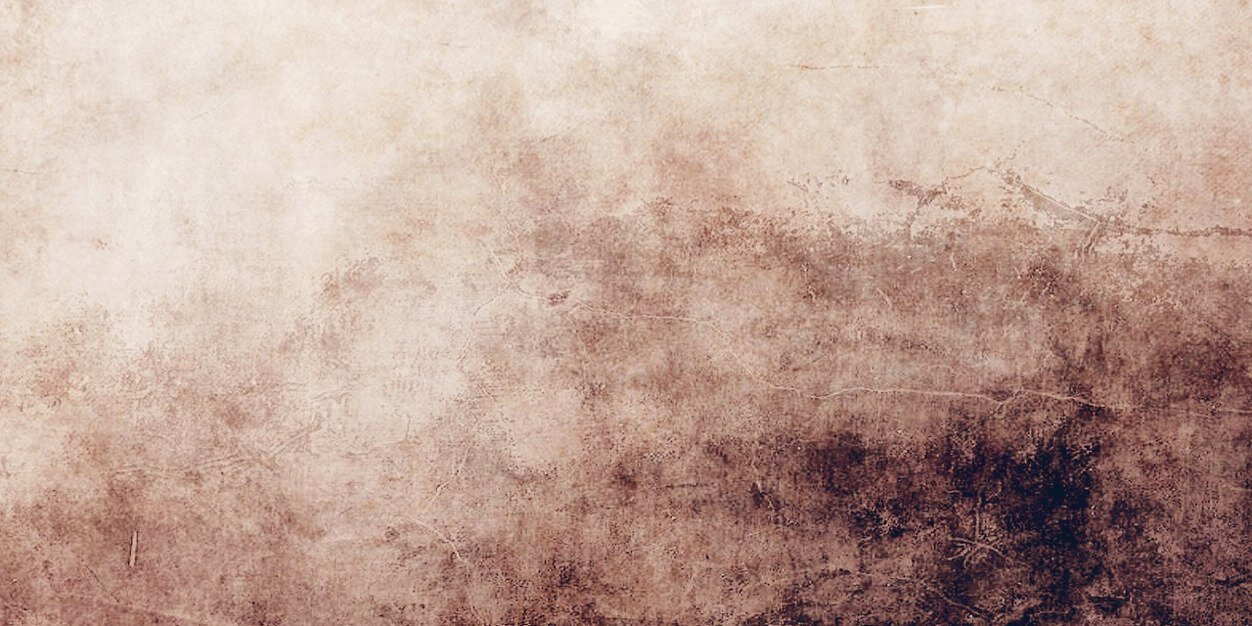 nesreen_990's profile banner image
