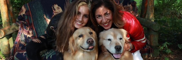 chirodog's profile banner image