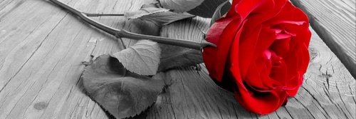 esclava casada banner