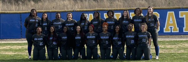 fvsu_softball Profile Banner