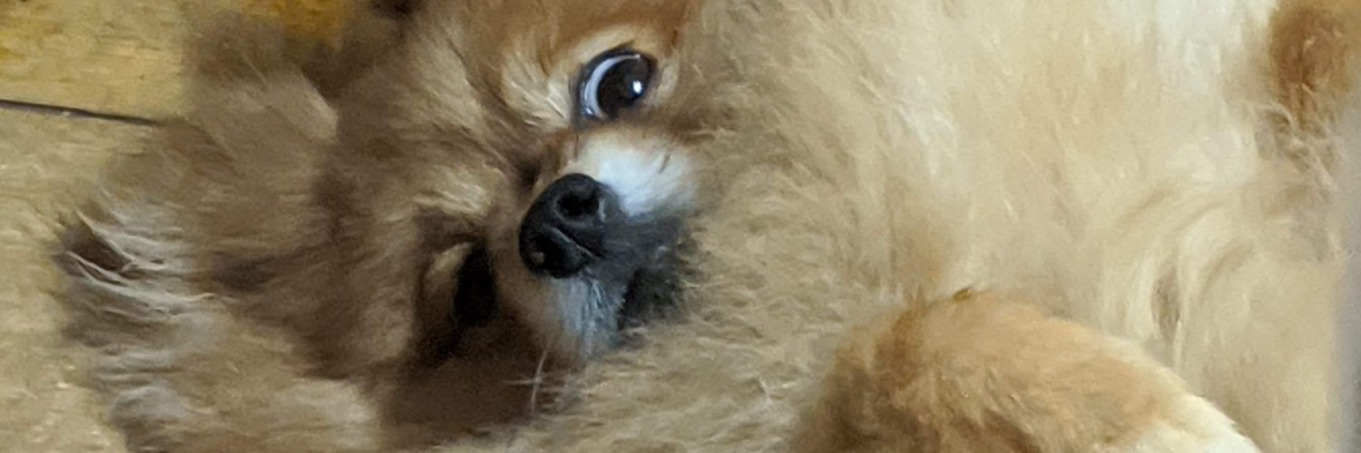 djpain's profile banner image