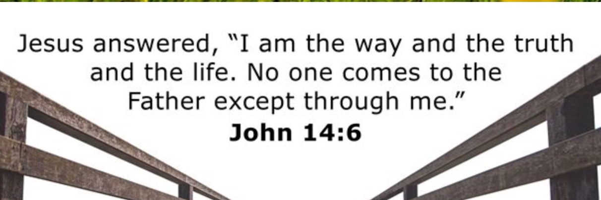 Rachel Norman MD MPH banner