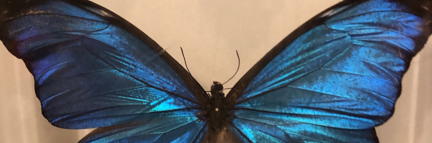 ms_wings65's profile banner image