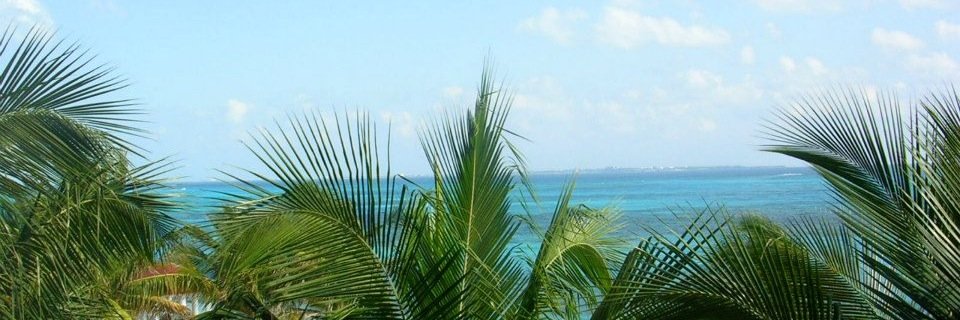 scotmo's profile banner image
