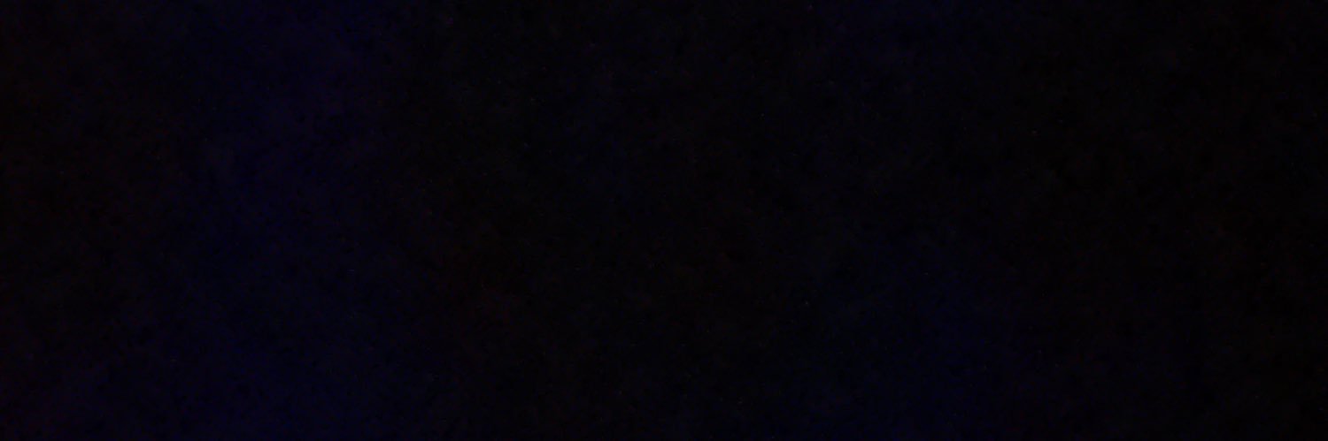 donnaschubert's profile banner image