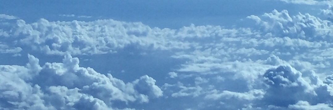 Alejandra Ramírez banner