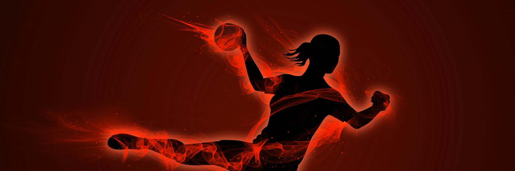 SV Dalfsen Handbal banner