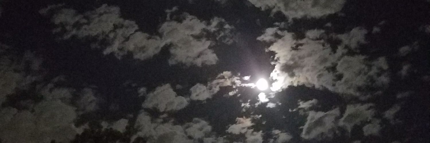 robotsamantha's profile banner image