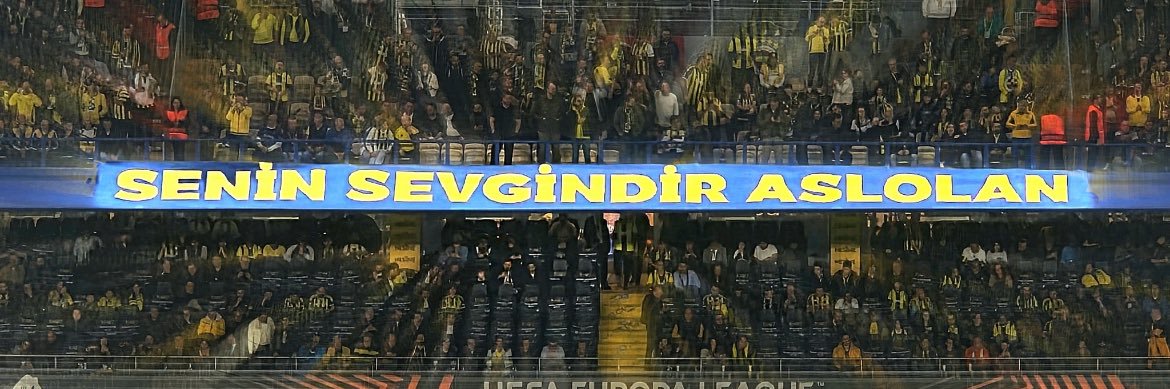 SezgiN banner