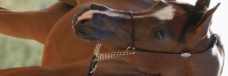 a1418j's profile banner image