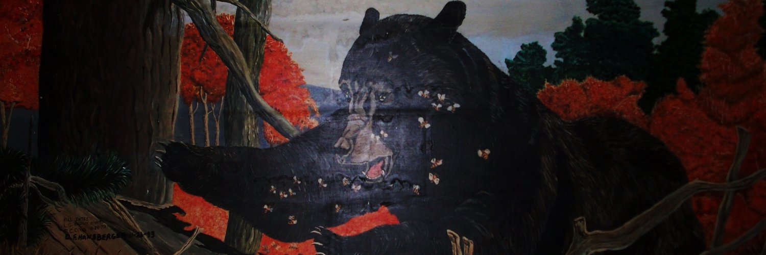 OrganicCharisma banner