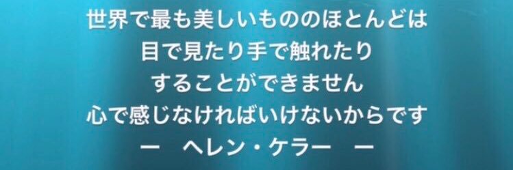 mi_3ato's profile banner image