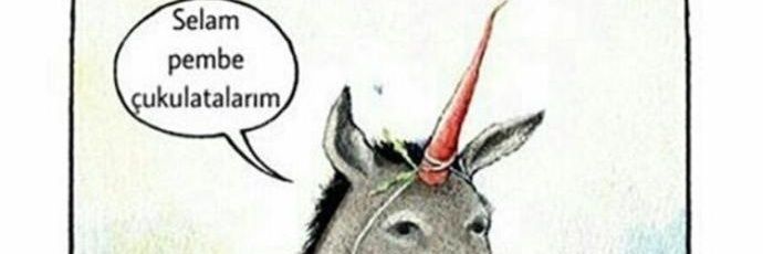 bugradmr's profile banner image