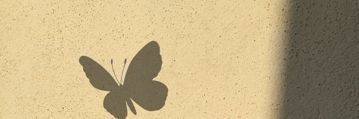 Maral's banner
