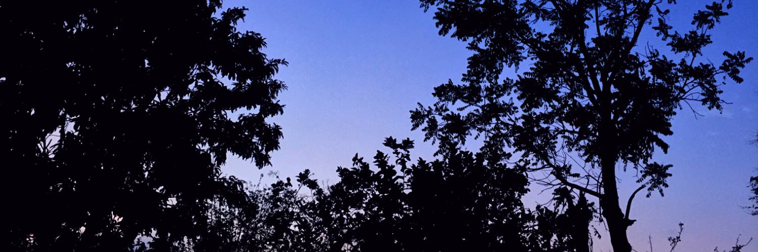 SoyPaoParra's profile banner image
