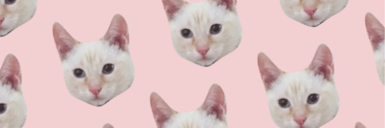bugggyy's profile banner image