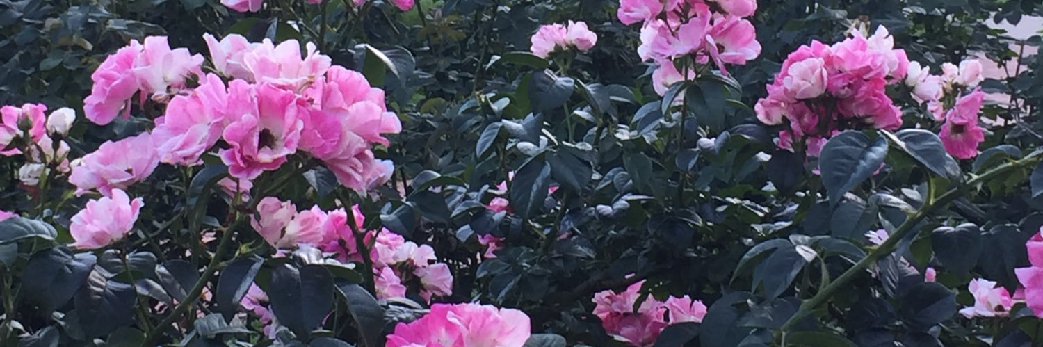 ijaybee's profile banner image