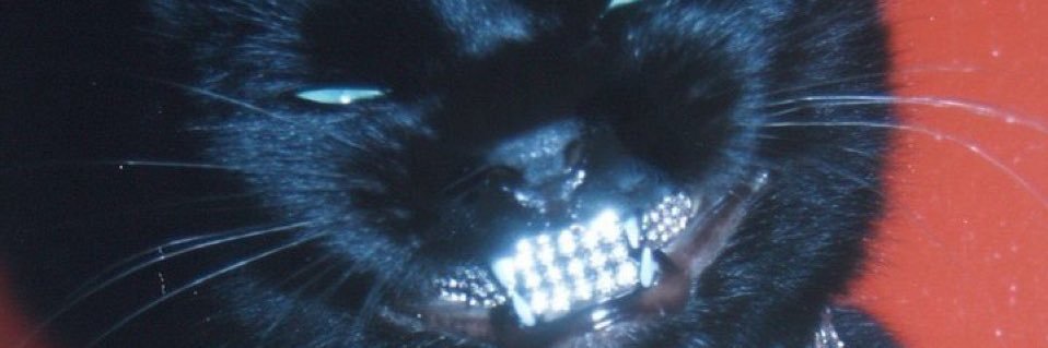 Flex4Aeon's profile banner image