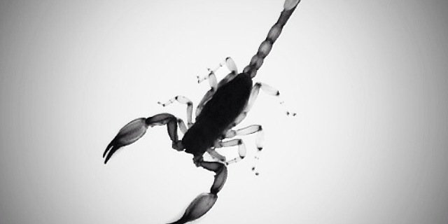 Lov3_L33's profile banner image
